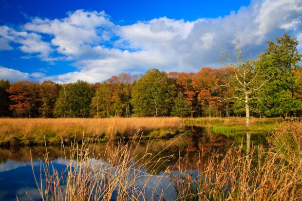 5 tips voor een weekendje weg in de herfst