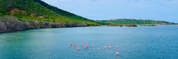 mooiste plekken curacao