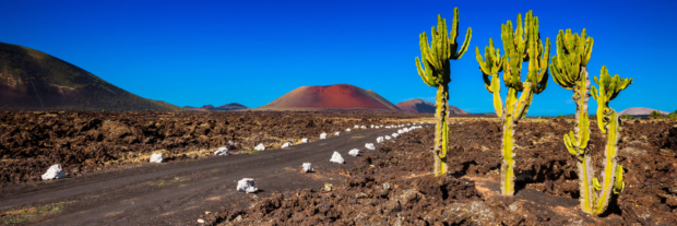 leukste canarische eiland lanzarote tenerife